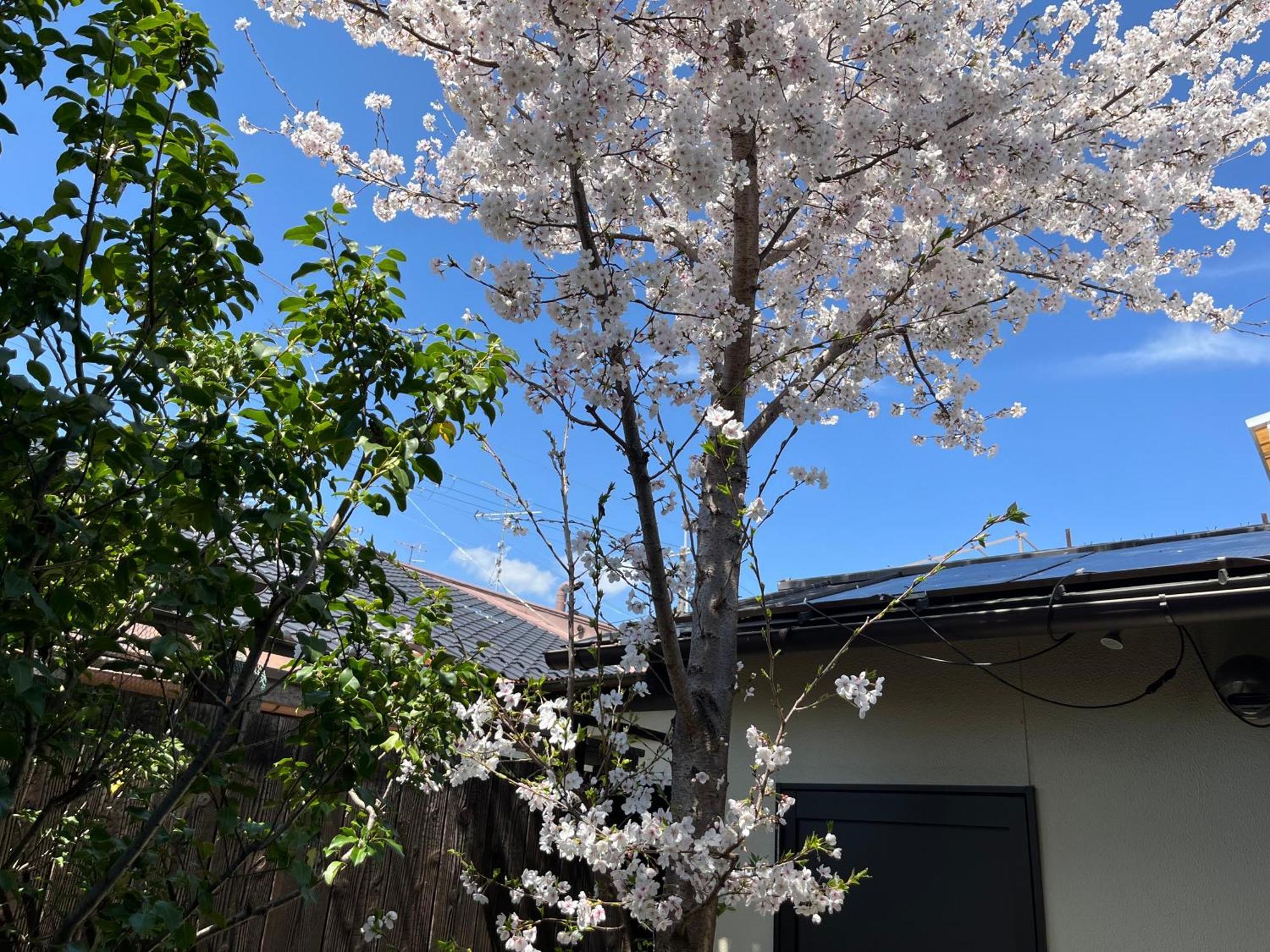 Nishijin No Sato 西陣之郷 -100 Yrs Smart & Sustainable Ai Arthouse With 10Gbps Wifi - Villa Kyoto Ngoại thất bức ảnh